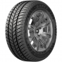 Шины Barez Wintertech P642