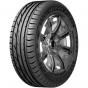 Шины Barez Premium Grip P624